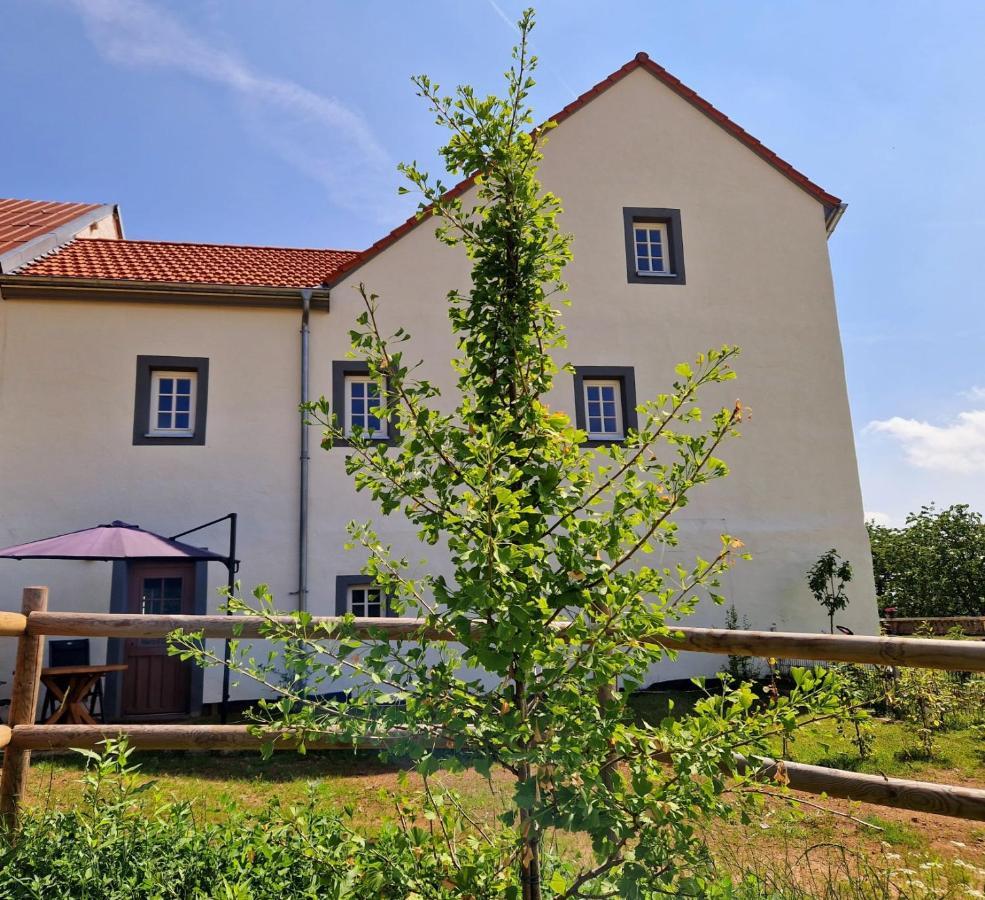 Ferienhaus "Entenhaus" Im Gutshaus De La Fontaine Feilsdorf Exterior foto